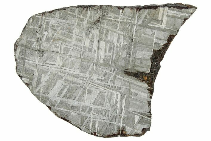 Etched Muonionalusta Meteorite Slice ( g) - Sweden #309796